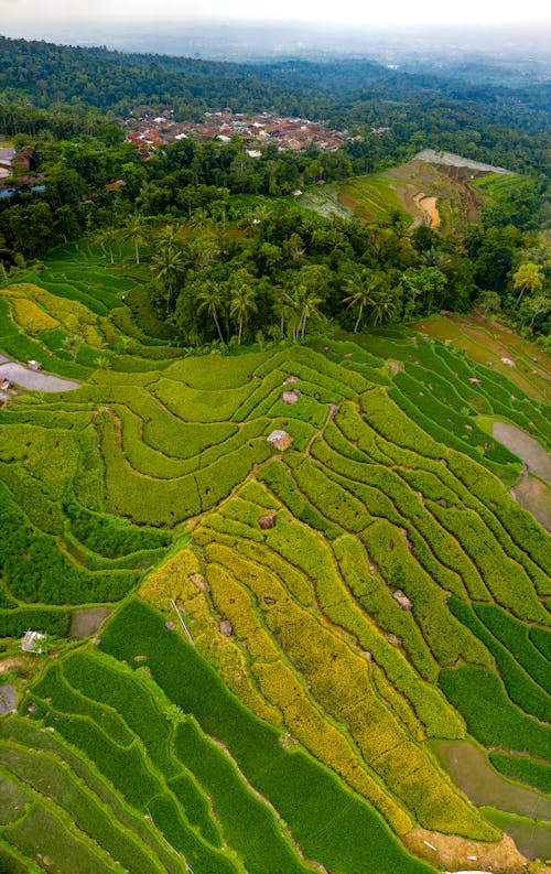 Photographie Aérienne D'un Beau Paysage