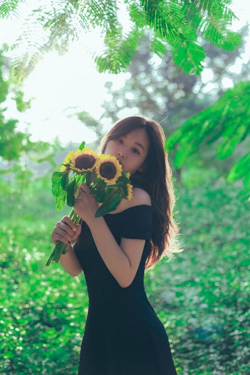 A woman in a black dress holding sunflowers Free Stock Photo A woman in a black dress holding sunflowers Free Stock Photo