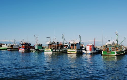 Fishing Boats Moored in Cape Town Harbor