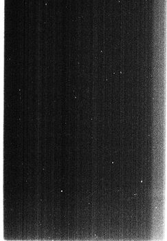 Captivating abstract black and white texture with a vertical gradient effect.
