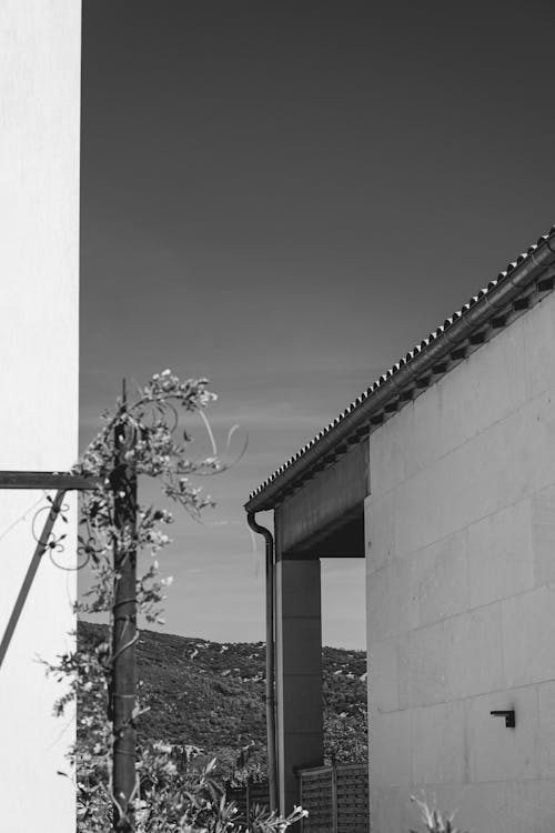 Brick Building in Black and White