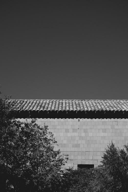 Ilmainen kuvapankkikuva tunnisteilla katto, mustavalkoinen, muuri