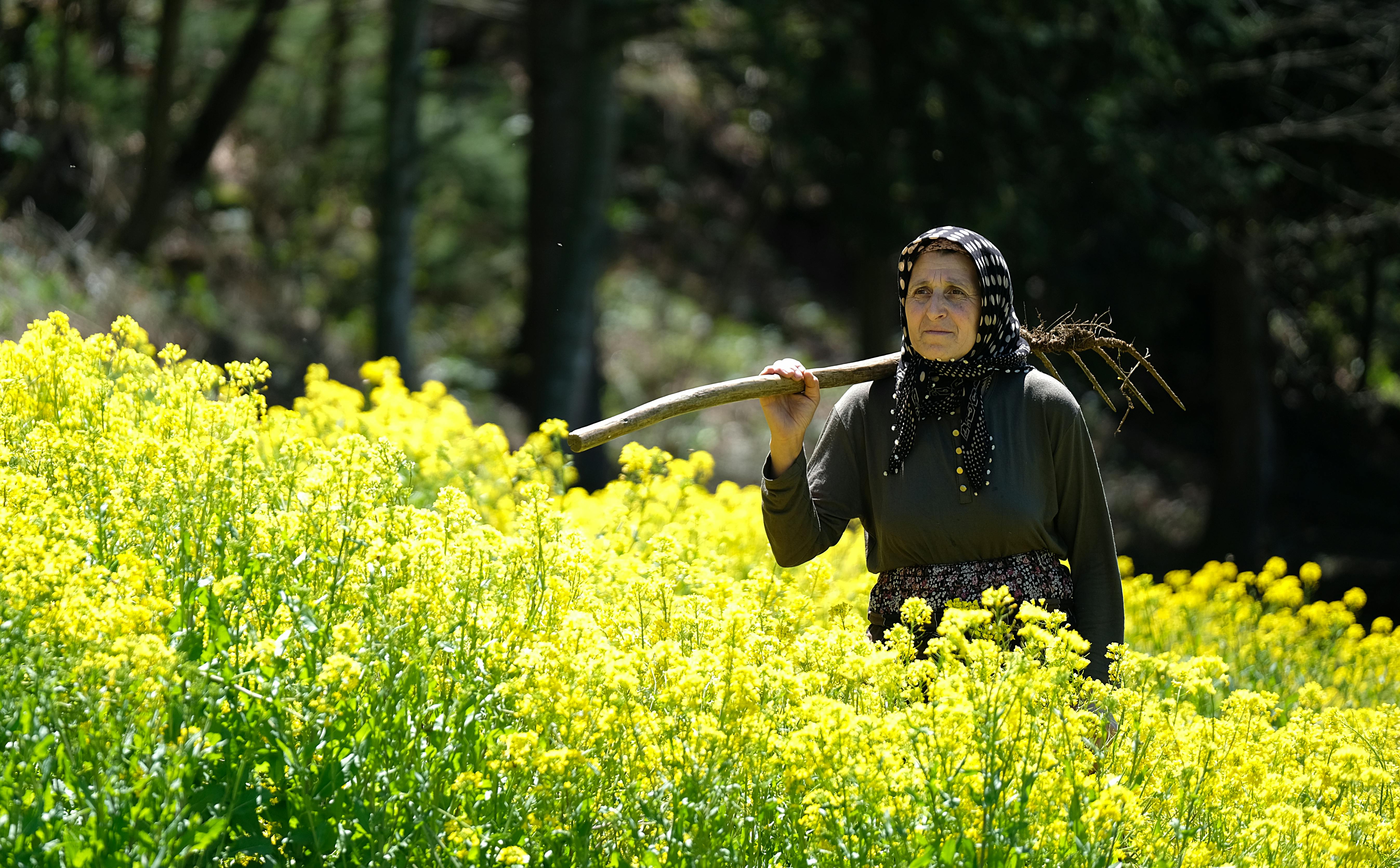 ฟรี คลังภาพถ่ายฟรี ของ กลางแจ้ง, การทำฟาร์ม, การทำสวน คลังภาพถ่าย