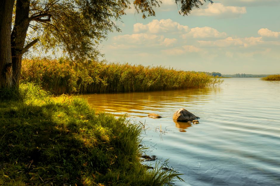 hearing wellness calm environment