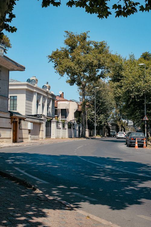 Free Charming street view in Istanbul showcasing historic architecture and lush greenery. Stock Photo