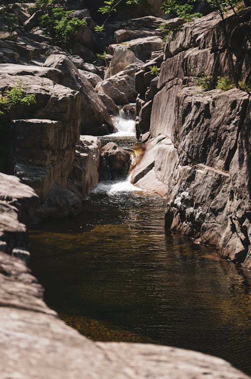 Foto profissional grátis de cachoeira, cênico, corrente