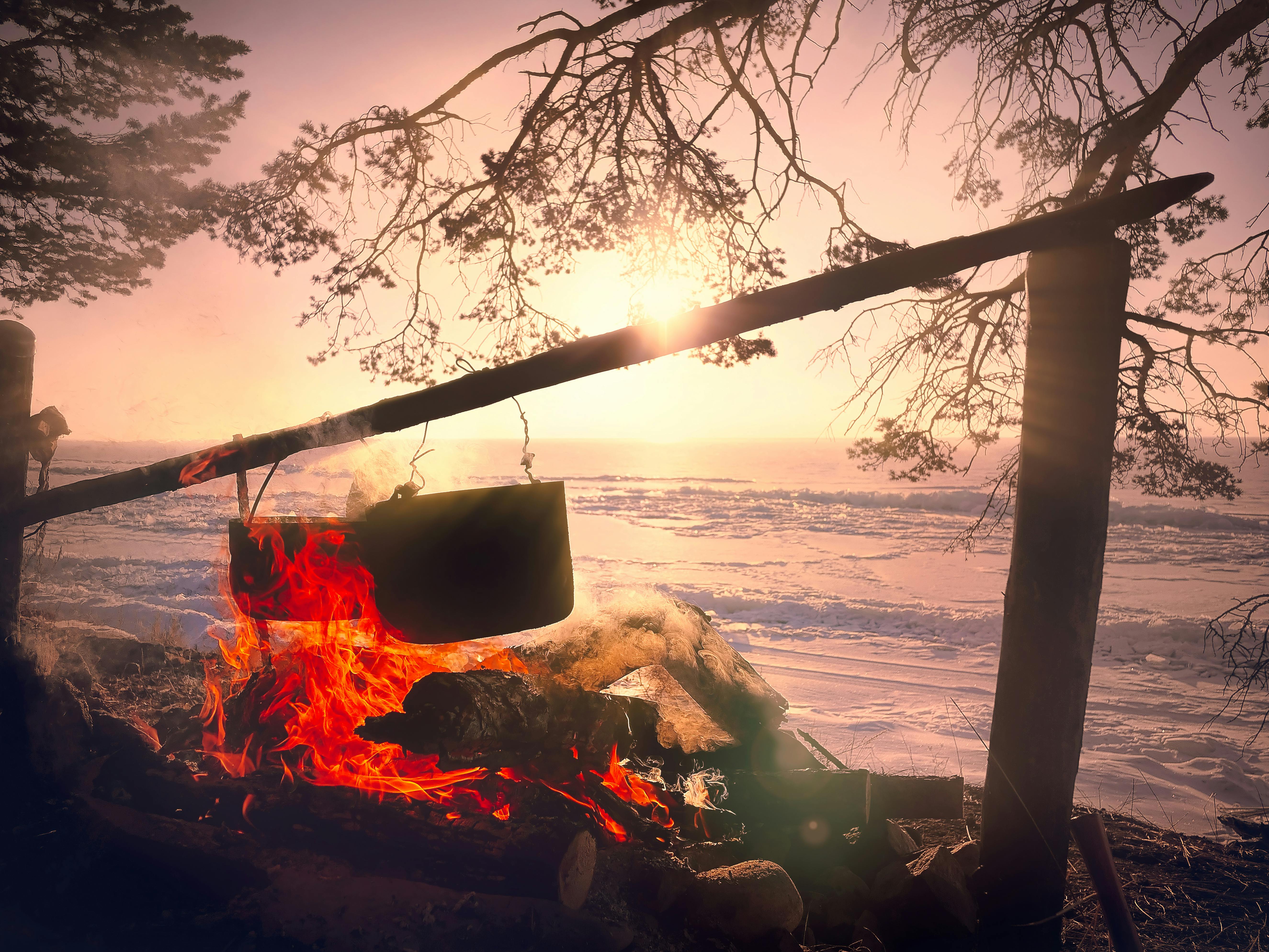Free stock photo of adventure, campfire, cooking