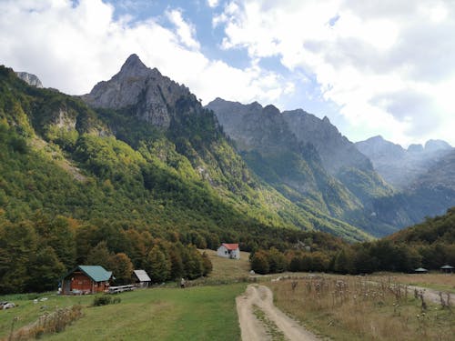 Kostenloses Stock Foto zu außerorts, bäume, berge