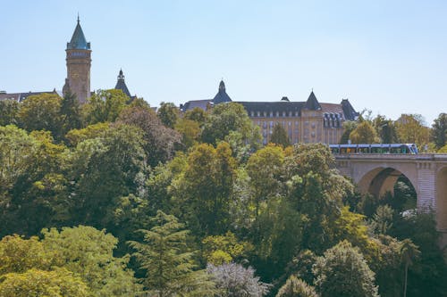 Trees and Adolphe Bridge in Luxembourg