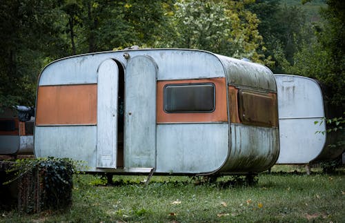 Imagine de stoc gratuită din arbori, cabană, camping