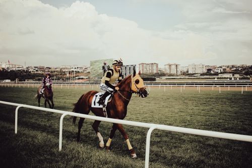 Free Dynamic horse racing scene with jockeys competing outdoors on a bright day. Stock Photo