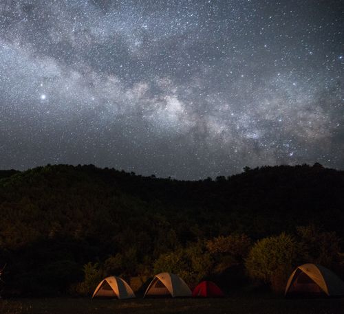 Free Starry night sky with Milky Way over serene campsite in forested area. Stock Photo