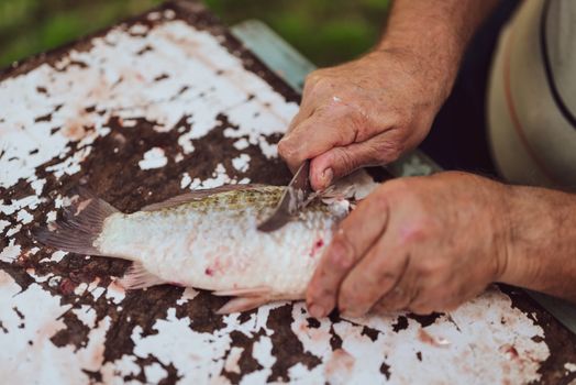 Man Preparing a Fish 