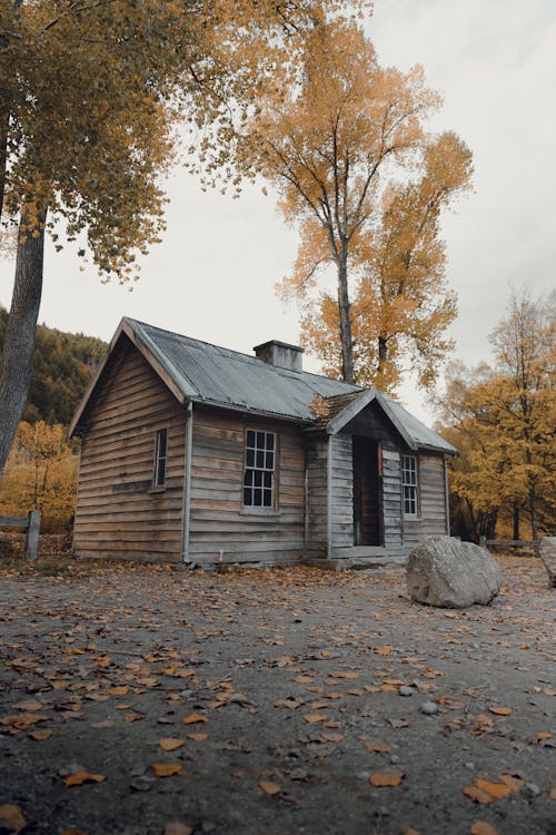 Wooden, Abandoned House in Countryside in Autumn