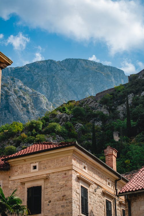 ağaçlar, dağlar, dik içeren Ücretsiz stok fotoğraf