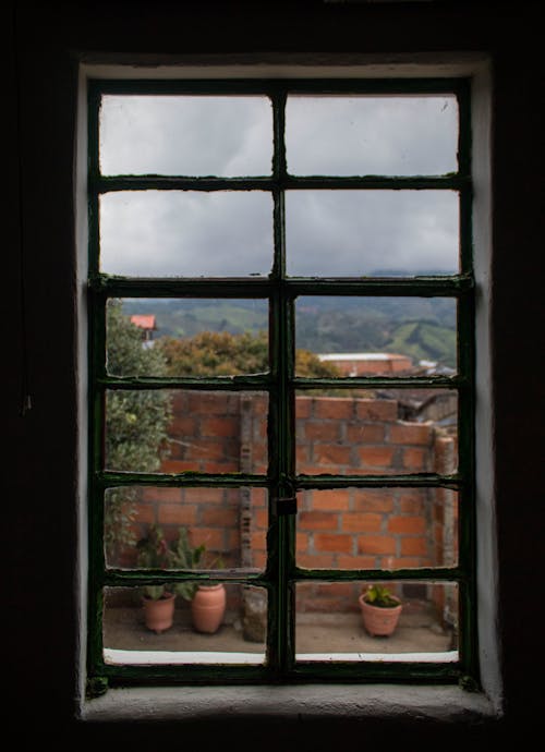 Ingyenes stockfotó ablak, ablakok, cserepes növények témában