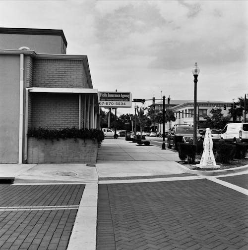 Buildings by the Street in Black and White