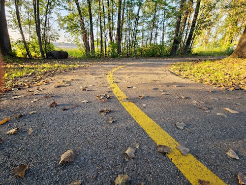 Autumn Road