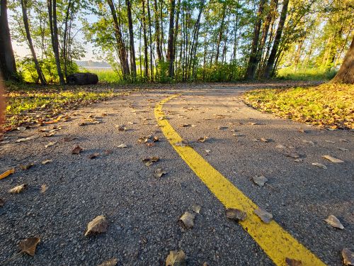 Free Autumn Road Stock Photo