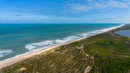 Free Stunning aerial view of a tropical coastline in Conde, Brazil, showcasing lush greenery and blue ocean waters. Stock Photo
