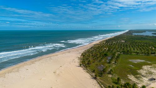 Free Stunning aerial view of a pristine tropical beach and palm-lined coastline in Jandaíra, Brazil. Stock Photo