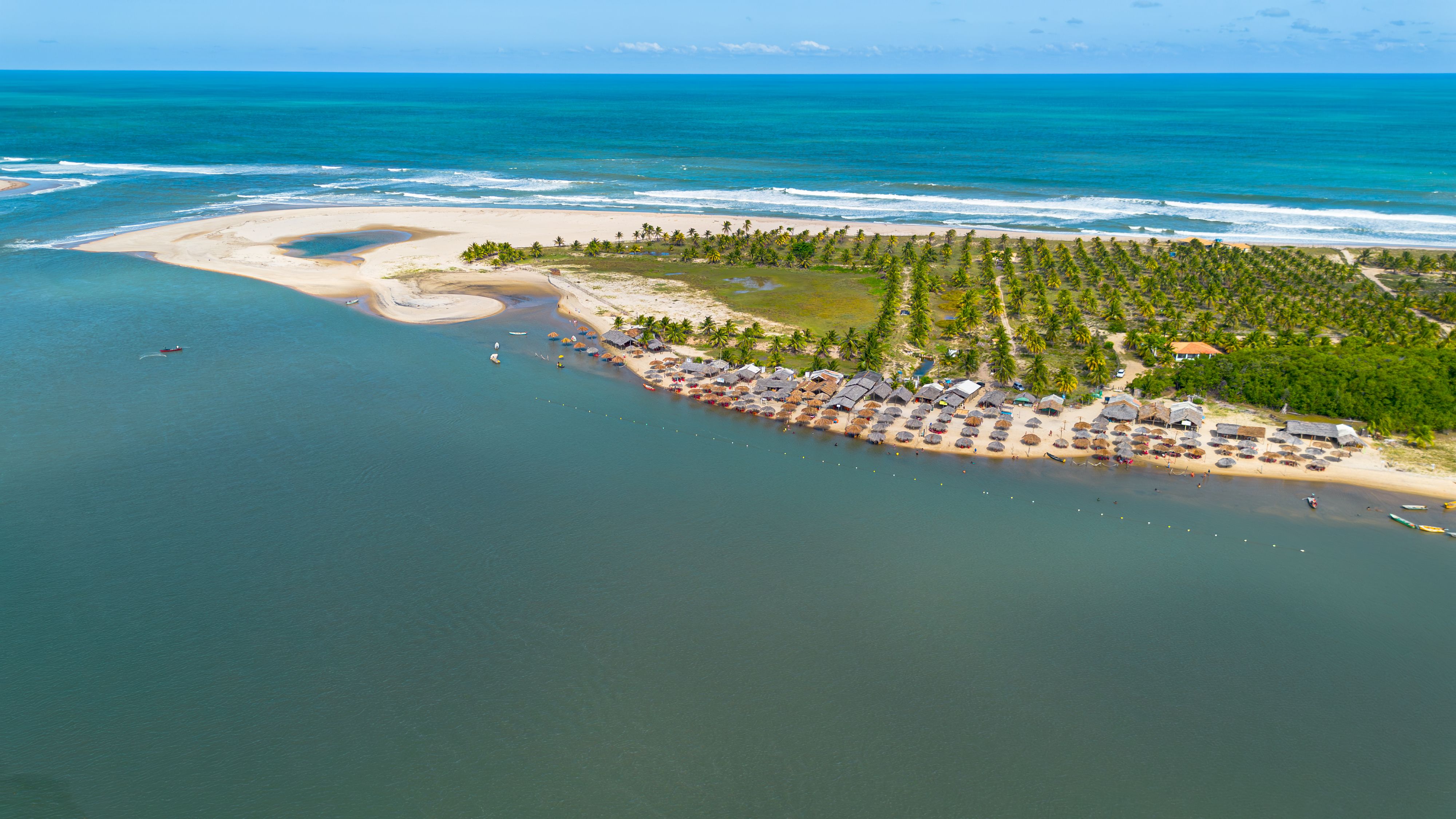 Pristine sandy beach with turquoise waters and palm trees along Brazils northeast coast