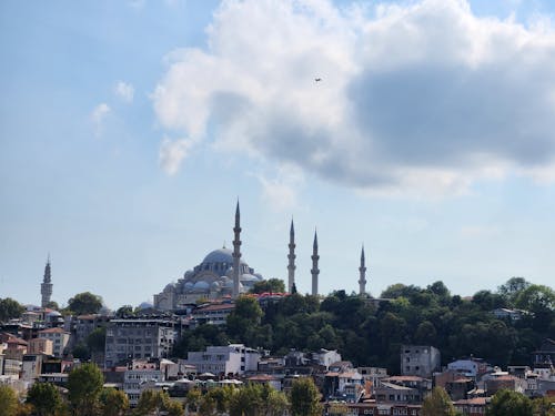 Suleymaniye Mosque over Istanbul Buildings