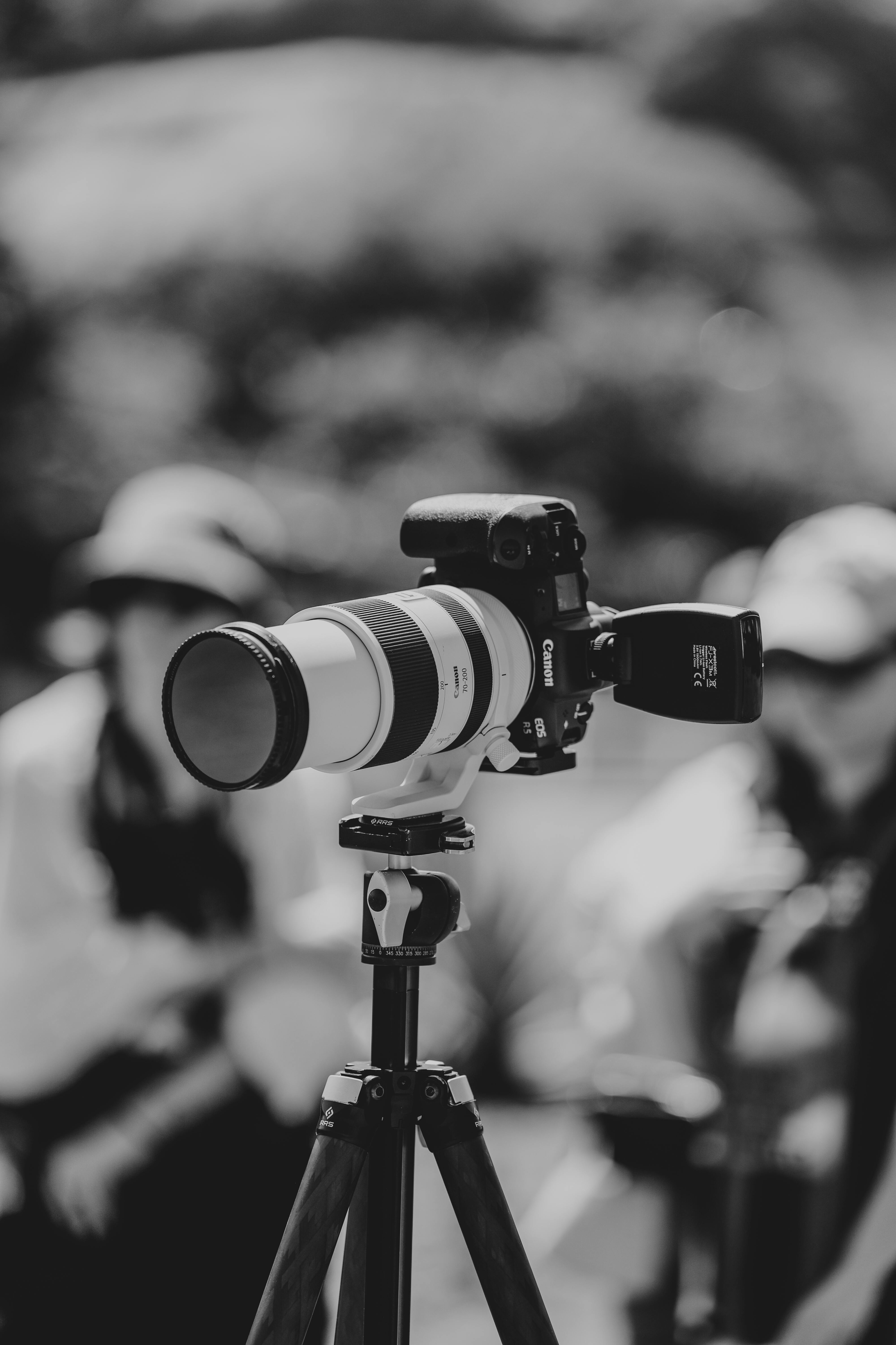 Photography Management Photos, Download The BEST Free Photography Management Stock Photos \u0026 HD ...