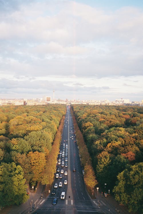 Avenue Among Trees in Berlin, Germany