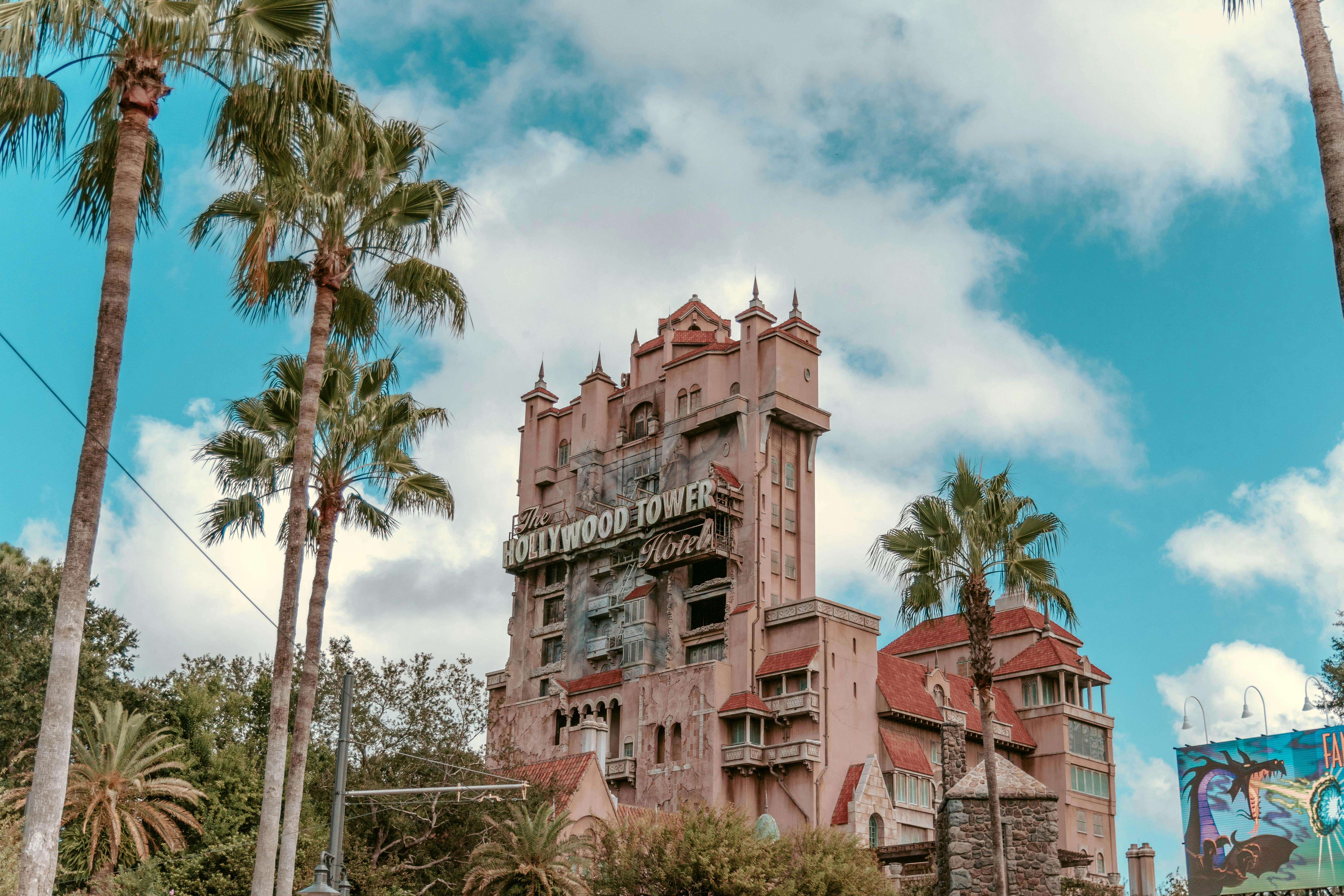 Free stock photo of disney, florida, holidays