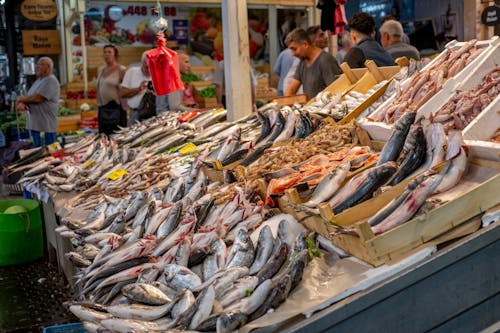 Kostnadsfri bild av affär, bås, fiskmarknad