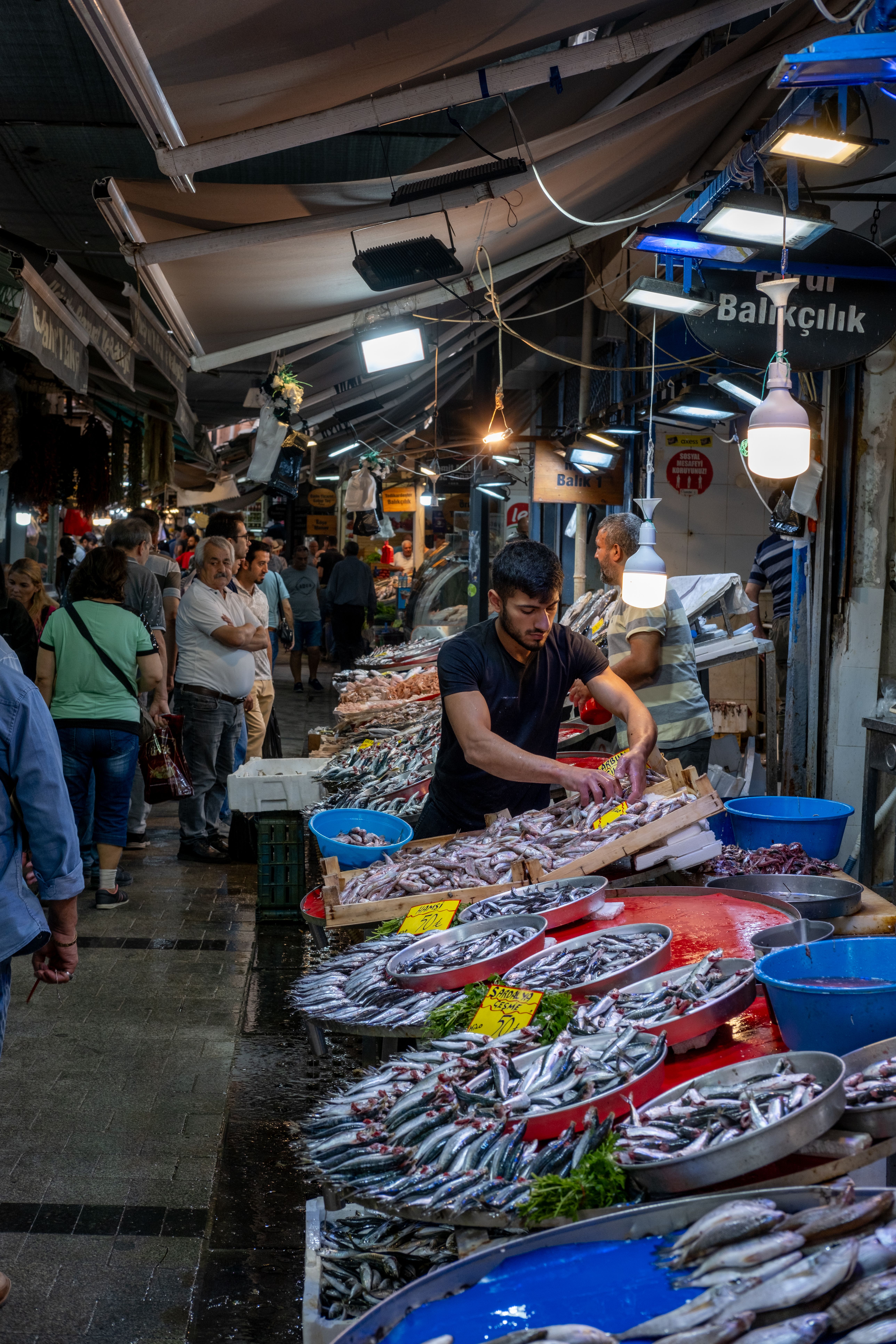 Fishmonger at Bazaar · Free Stock Photo