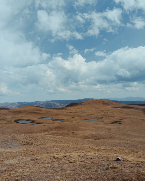 Terrain with Dry Pasture and Ponds