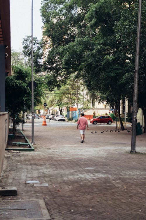 Free stock photo of brazil, city, city life