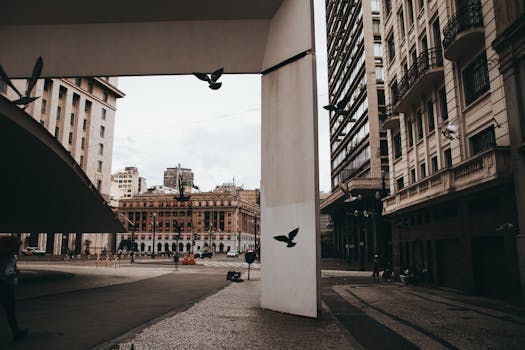 Street view of São Paulo with flying pigeons, architecture, and urban life.