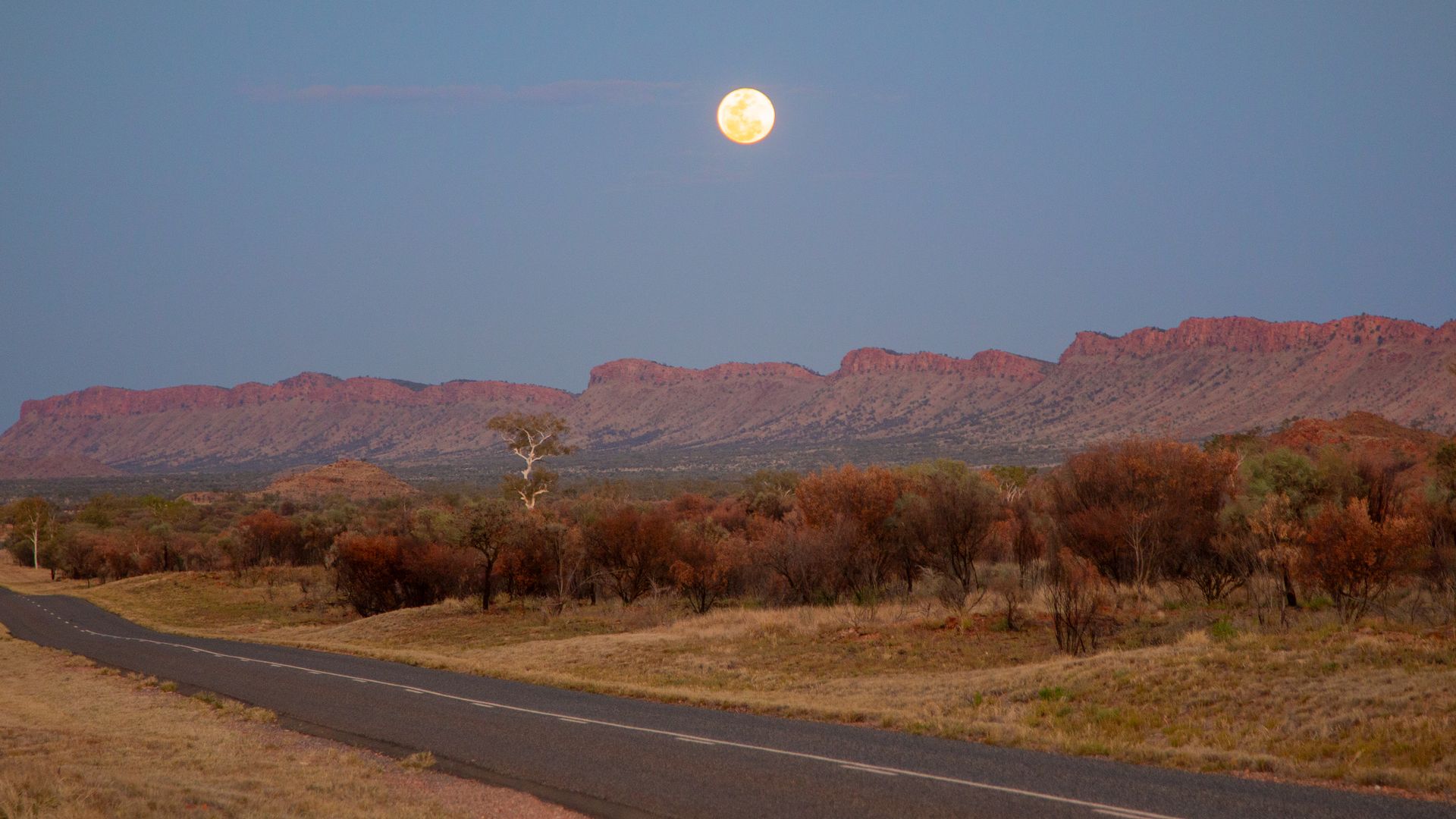 Remote Northern Territory outback road travelled by the Safe NT mobile testing and tagging service vehicle