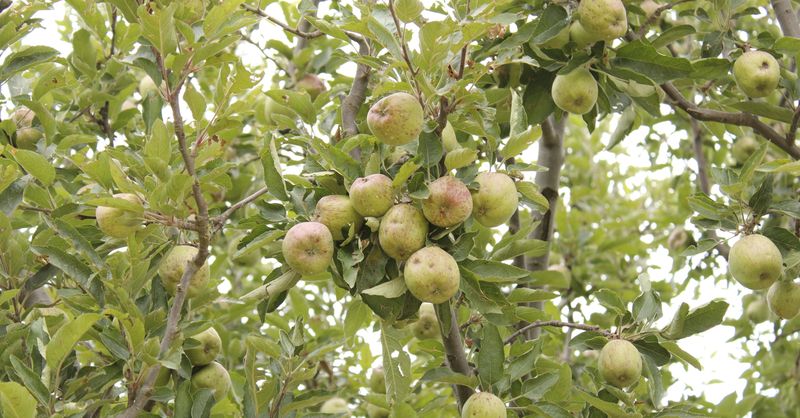Malus écologique 2026 : comment protéger sa flotte automobile ?