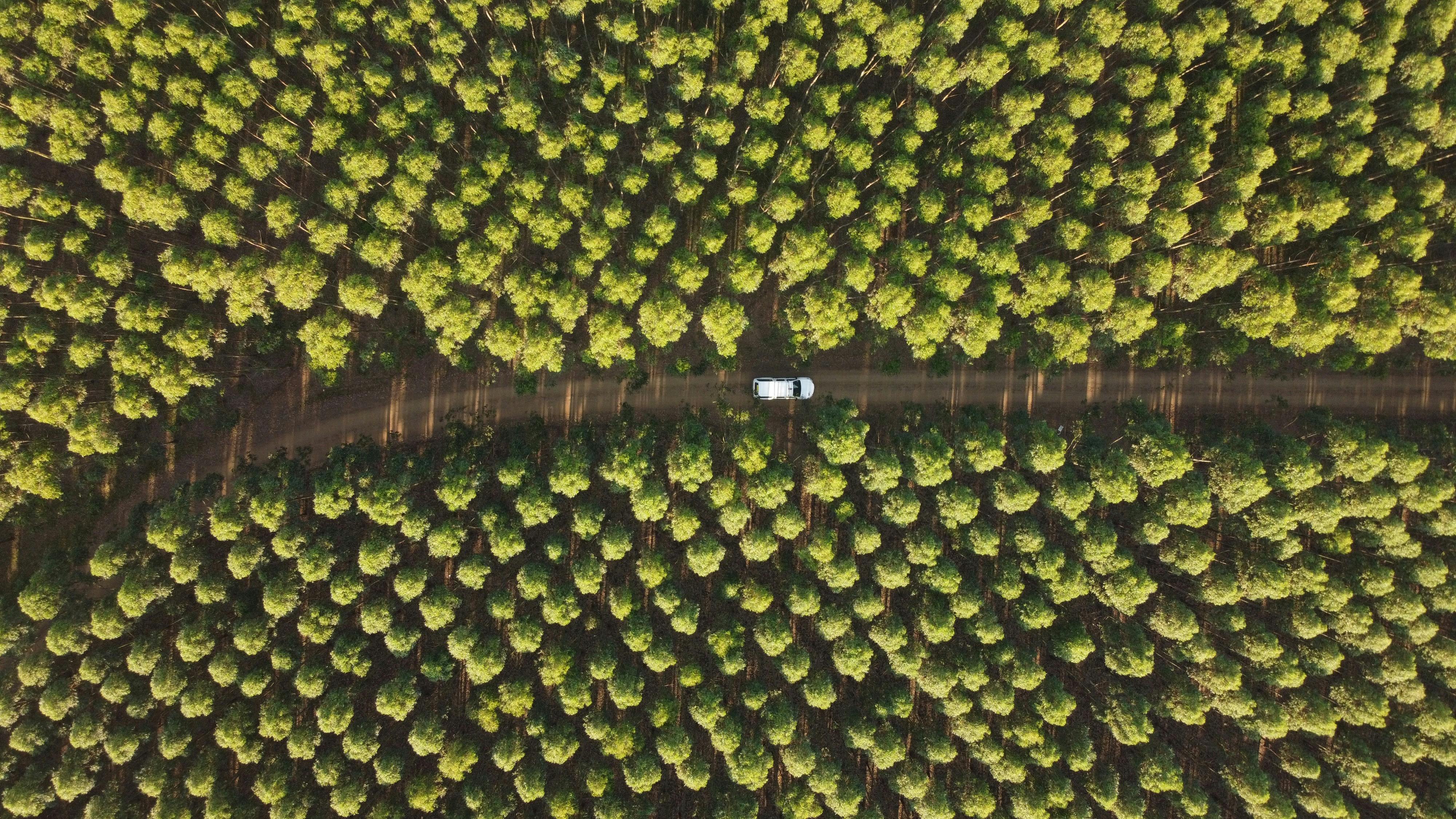 evs explained sustainability — Photo by Nick Ferreira on Pexels