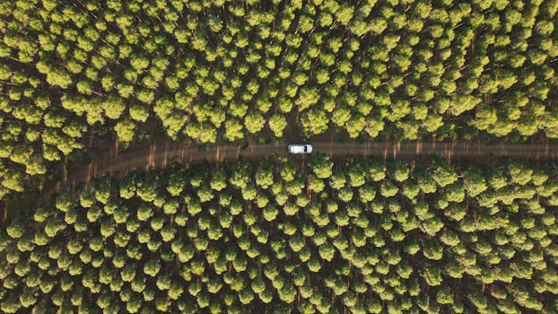 Aerial photo capturing a car on a dirt road amidst dense forest in South Africa.