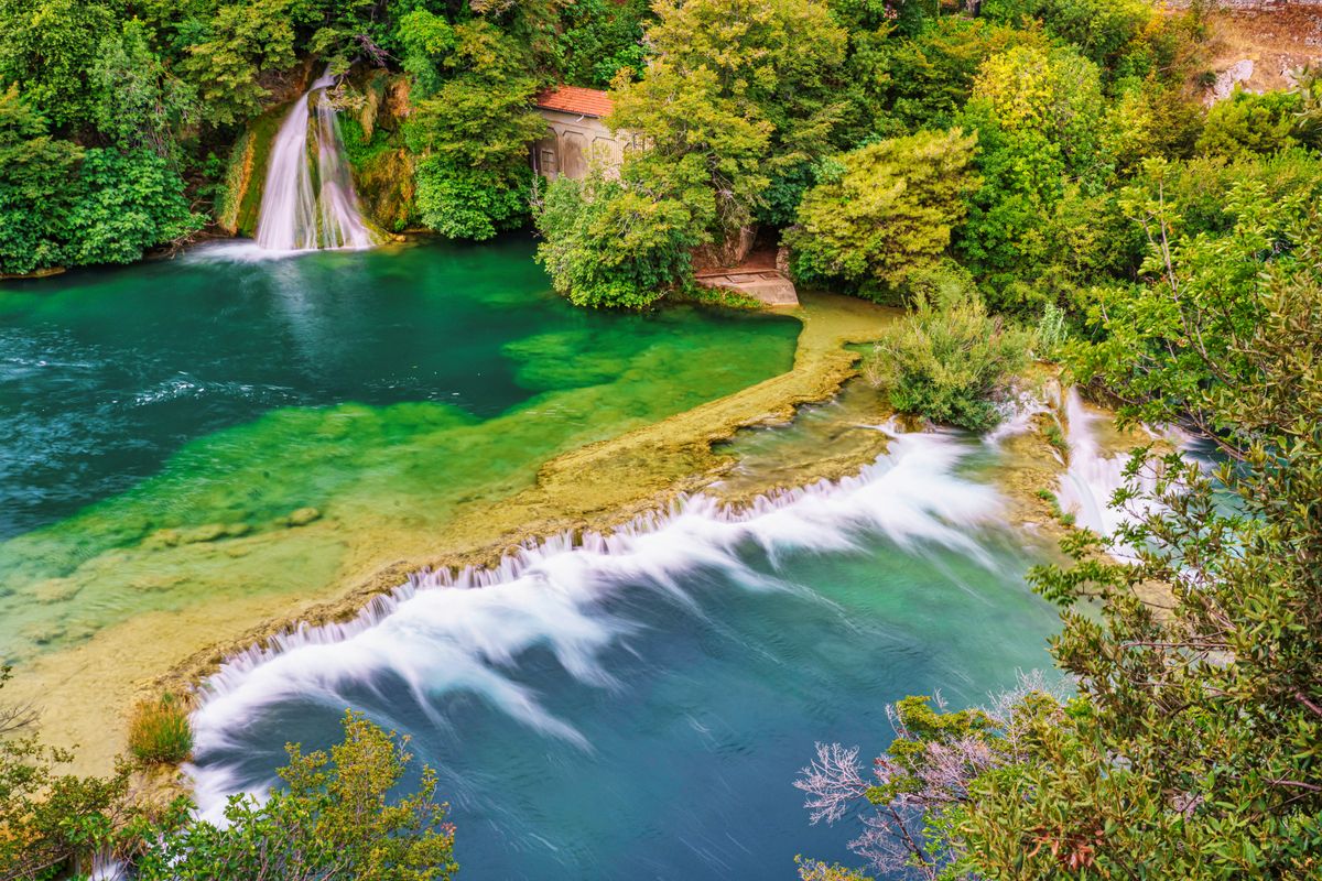 Green forest and nature in a Croatian national park