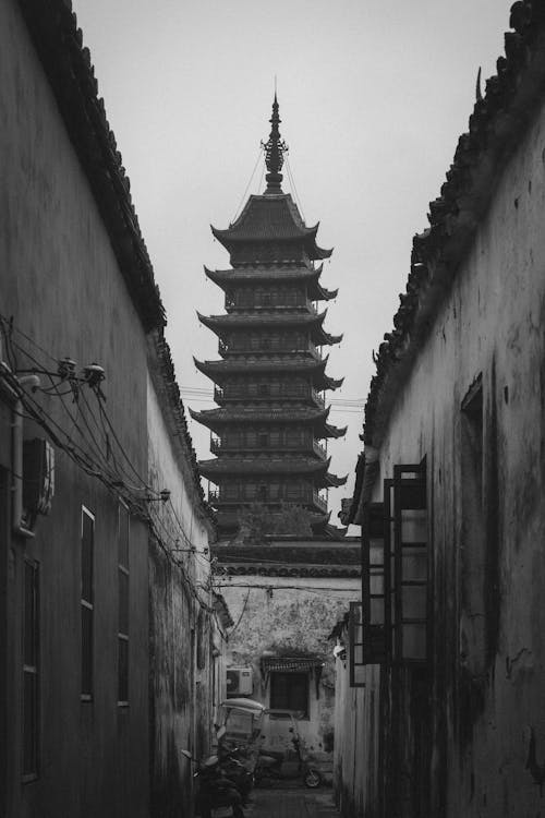 alleys, ancient architecture, bamboo 的 免费素材图片