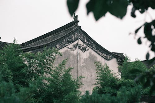 alleys, ancient architecture, bamboo 的 免费素材图片