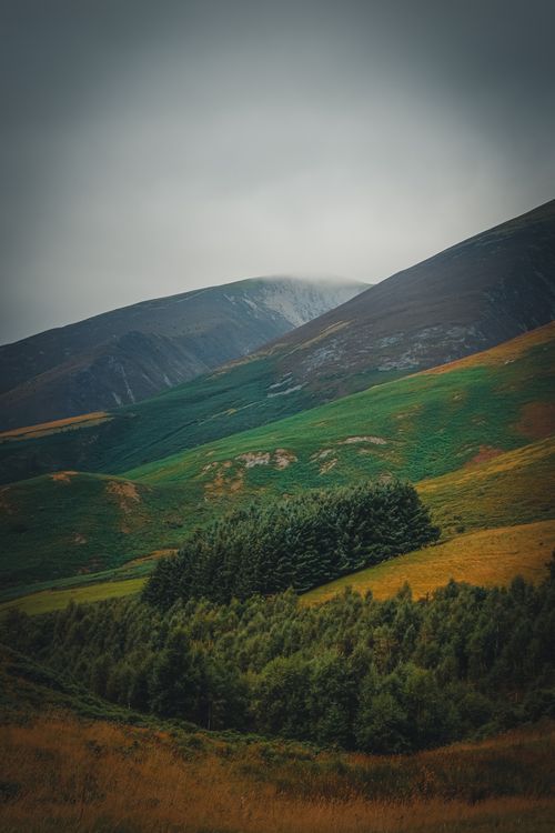 Free Breathtaking view of a lush green forest nestled in rolling hills with misty mountains. Stock Photo