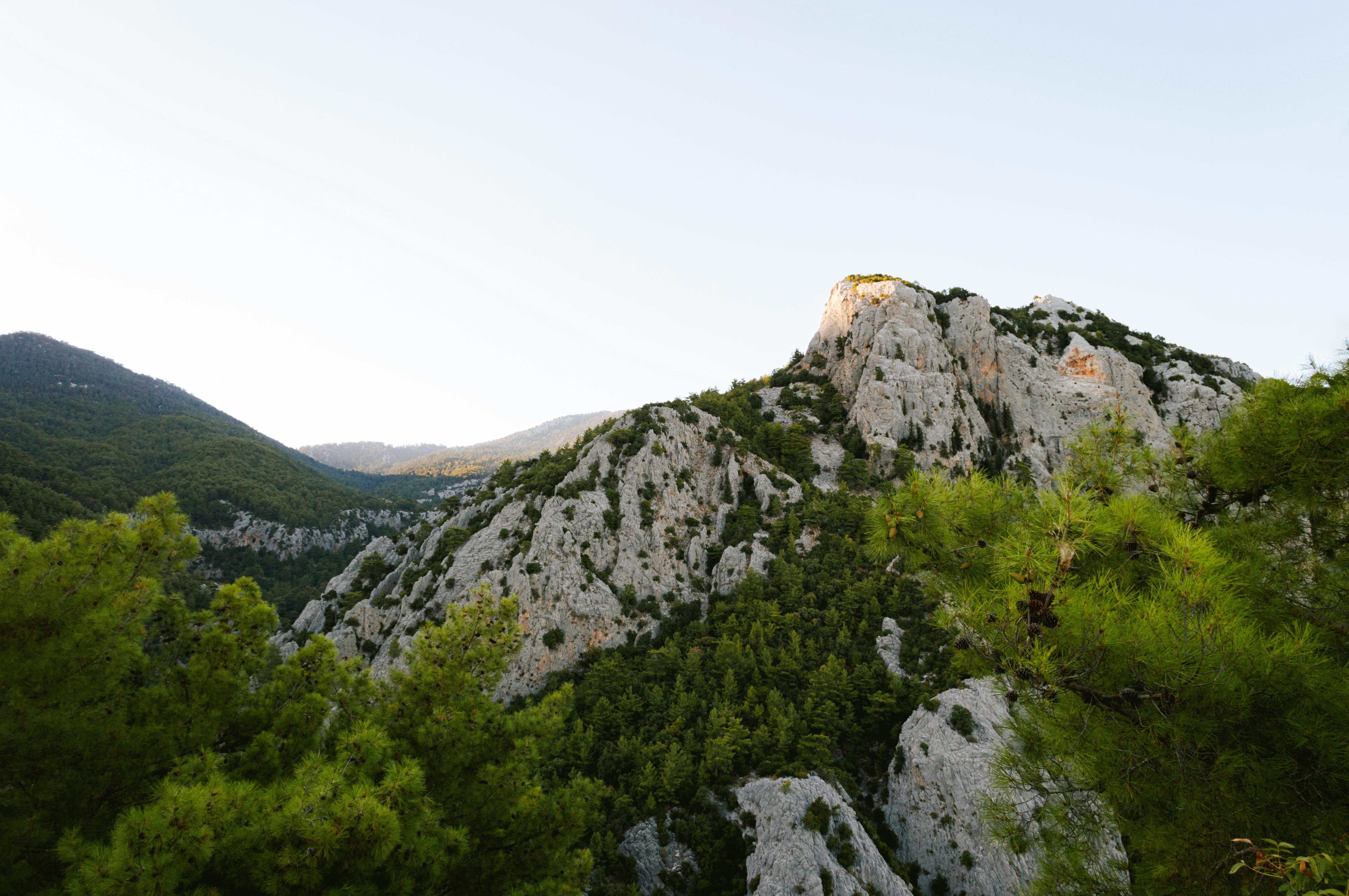 mount in green