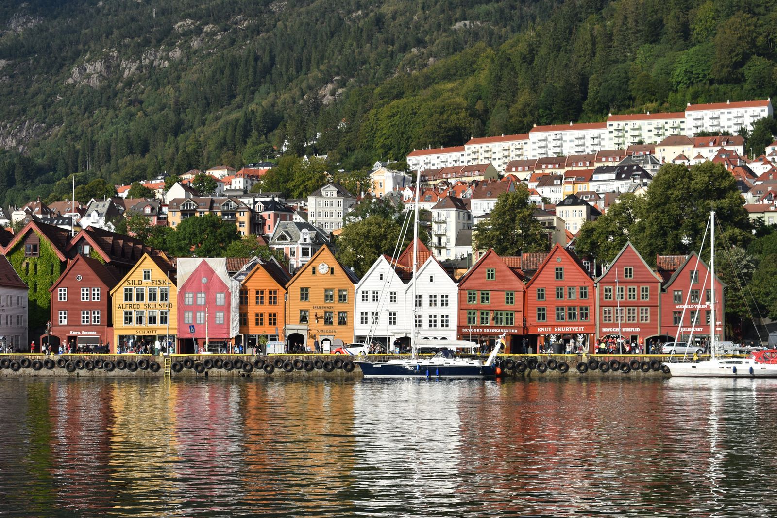 Colorful wooden houses of Bryggen reflected in Bergen's harbor beneath a green hillside