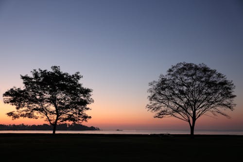 ağaçlar, akşam karanlığı, deniz içeren Ücretsiz stok fotoğraf