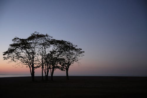 Gratis lagerfoto af landskab, morgengry, prærie