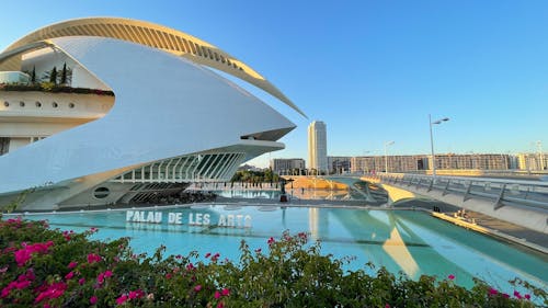 Foto d'estoc gratuïta de arquitectura, calatrava, espanya