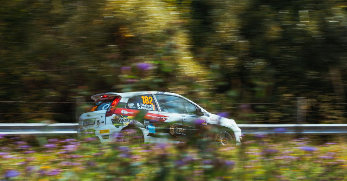 Dynamic shot of a race car speeding in a forest track, capturing motion blur.