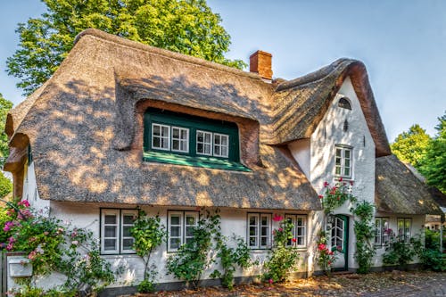 Free House with a Thatched Roof Decorated with Flower Shrubs Planted in Front of the House Stock Photo